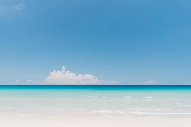 istock Beautiful tropical beach with blue sky and white clouds abstract texture background. 1298219970