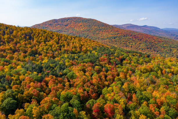 istock Catskill Mountains, New York 1298221656