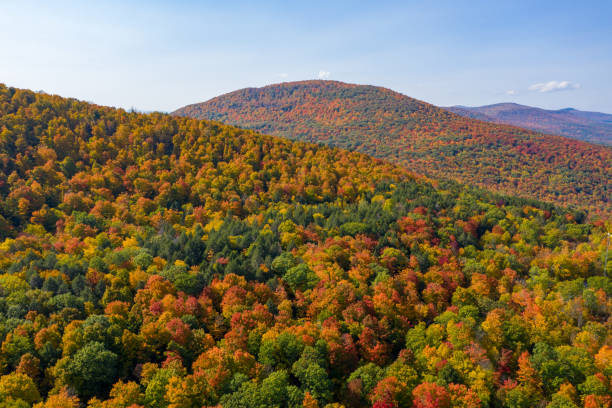 istock Catskill Mountains, New York 1298221669