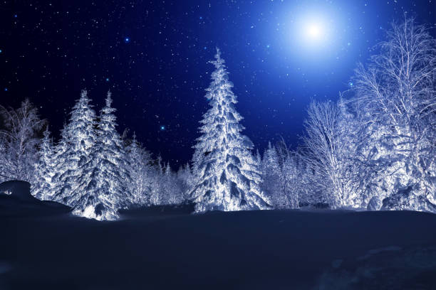 istock Moon over winter forest. Winter night landscape. Spruce forest in winter 1298225634