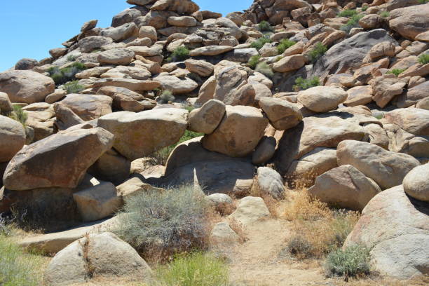 istock Joshua Tree National Park 1298225773