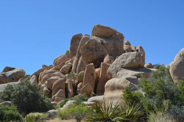 istock Joshua Tree National Park 1298225859
