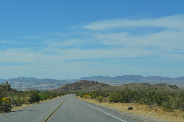 istock Joshua Tree National Park 1298225887