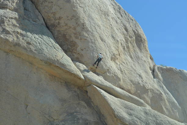 istock Joshua Tree National Park 1298225933