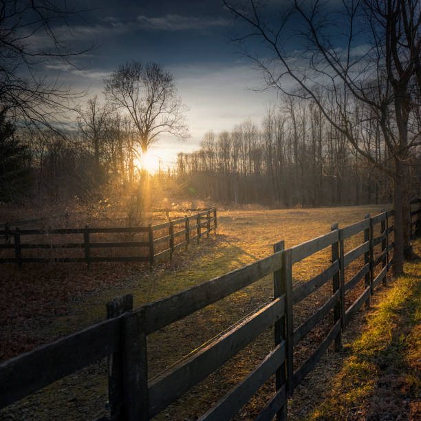 istock Kentucky Countryside at Sunset 1298225984