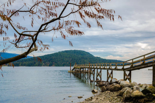 jetée à la baie dans le parc de deep cove - district of north vancouver photos et images de collection