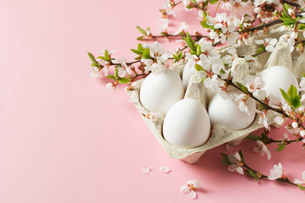 istock White eggs and twigs with flowers on pink background 1298236650