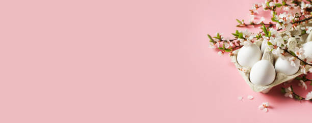 istock White eggs and twigs with flowers on pink background 1298237161