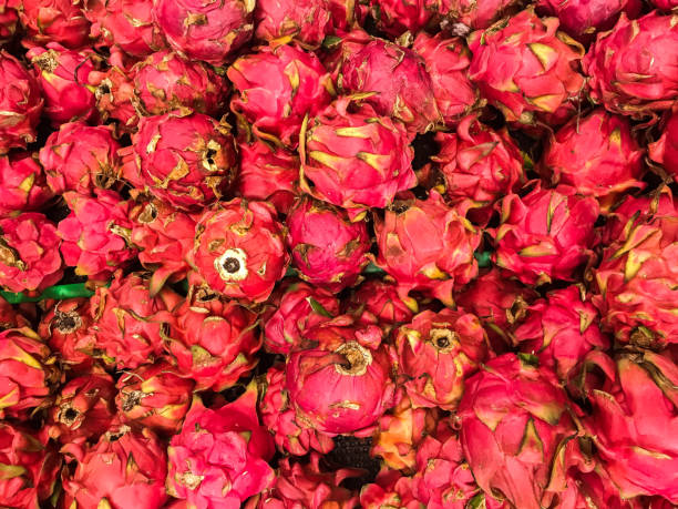 Dragon Fruit A pitaya (/pɪˈtaɪ.ə/) or pitahaya (/ˌpɪtəˈhaɪ.ə/) is the fruit of several different cactus species indigenous to the Americas. dragon fruit flower stock pictures, royalty-free photos & images