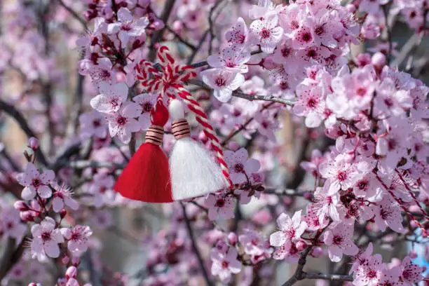 Photo of Martenitsa on blossoming tree - symbol of beginning of spring. Decorations made of red and white thread are presented in Bulgaria on 1st of March holiday. Spring background with pink bloom. Copy space