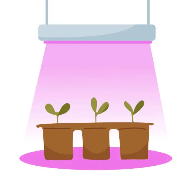 Vector illustration of Seedling lamp. Growing spring seedlings for planting in the garden. Vector illustration.