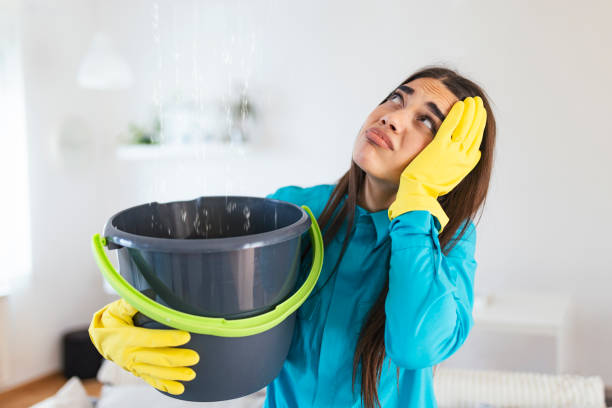 shocked woman looks at the ceiling while collecting water which leaks in the living room at home. worried woman holding bucket while water droplets leak from ceiling in living room - burst pipe imagens e fotografias de stock