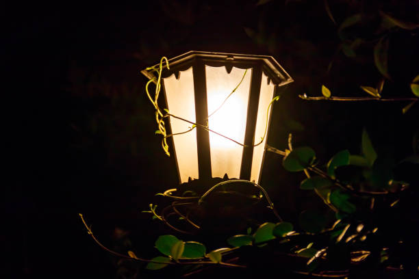 istock Lighted vintage street lantern at night 1298239513