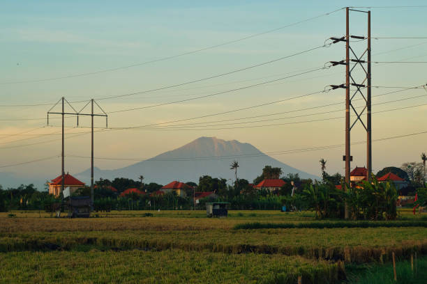 Wide shot of Electric Power Lines across the Rice field with Mount Agung in Background at dusk. Bali - Indonesia