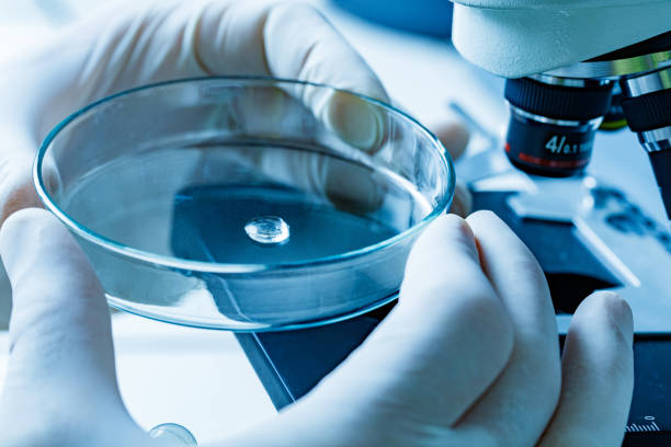 istock Close up of a drop in Petri dish at laboratory. 1298240913