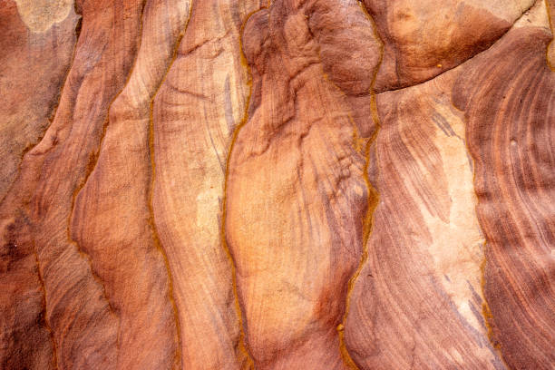 istock Nature patterns on the rocks of Petra 1298240970