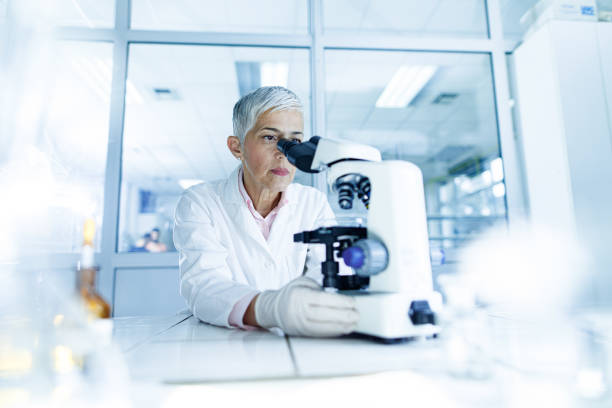 istock Senior female scientist working on a microscope in laboratory. 1298241565