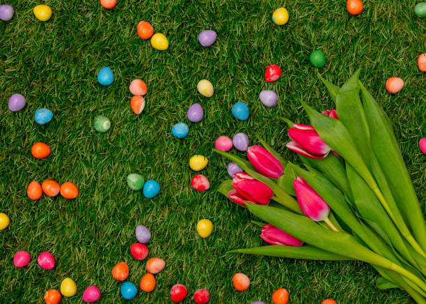 istock Easter candy eggs and tulips on green grass. 1298241739