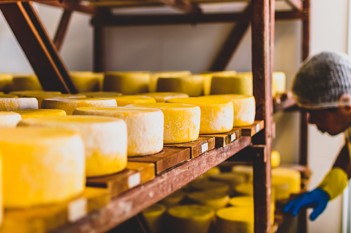 Production of artisanal cheese and other delicacies in Serra da Canastra in Minas Gerais, MG, Brazil