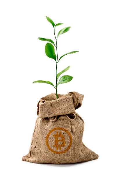 istock Money Tree/Money Bag with Bitcoin 1298243892