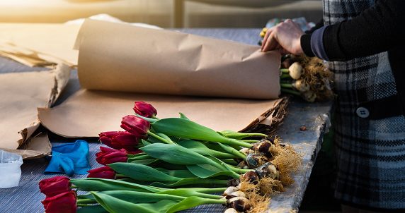 Florist prepares live tulips for delivery