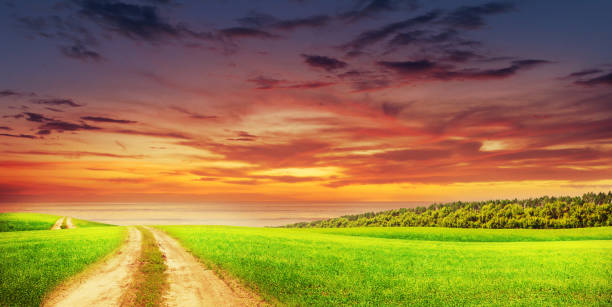 istock Road through green grass field to the sea 1298247745