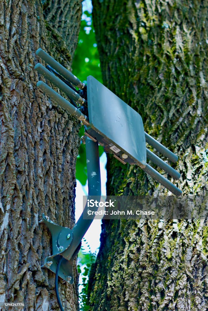 Ruggedized Outdoor Wifi Access Point On A Tree Stock Photo - Download ...