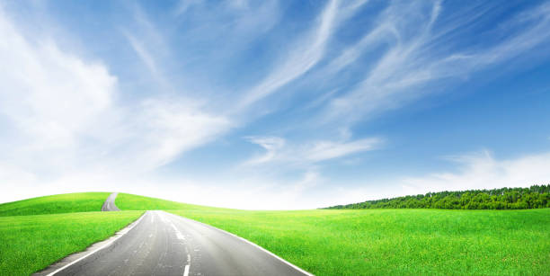 istock Road through green grass field and sunny sky 1298247862