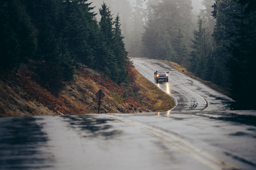 Landscape photo of a forest road in Oregon, Pacific Northwest. A lone truck drives down the foggy forest road with the headlights turned on for safety.