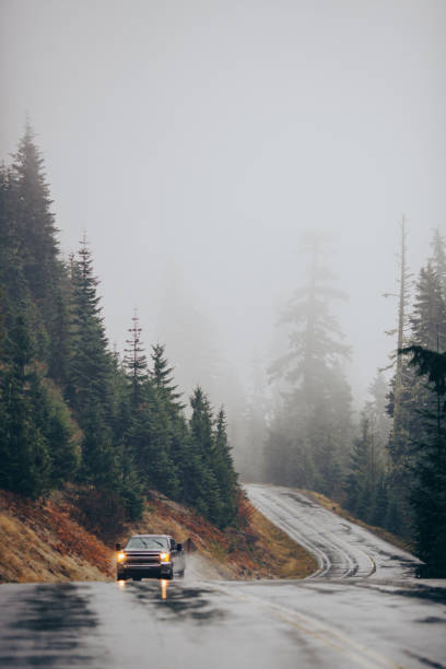 istock Pacific Northwest Forest Road With Truck Driving HeadLights 1298248112