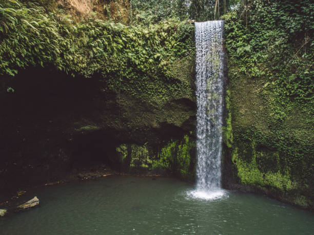 istock Scenic View Of Waterfall In Forest 1298254596