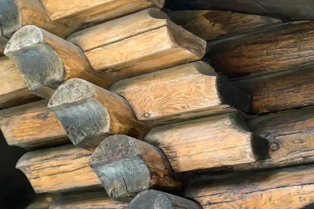 Part of the wall of a wooden house with natural round logs.
