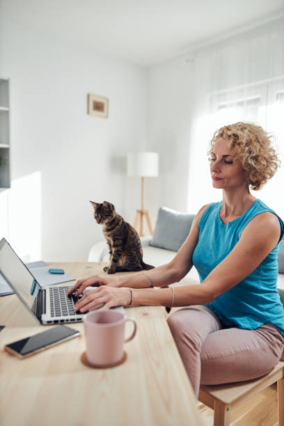 istock Woman working from home on a laptop / notebook with cat pet with her. 1298257267
