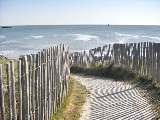istock Small allay to the beach 1298259908