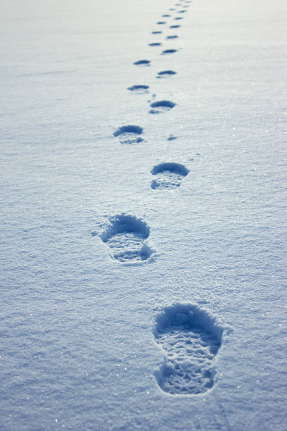 istock Human footprints in the snow under sunlight close-up view 1298263564