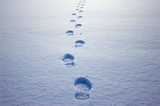 menschliche fußabdrücke im schnee unter sonnenlicht nahaufnahme anzeigen - winter cold footpath footprint stock-fotos und bilder