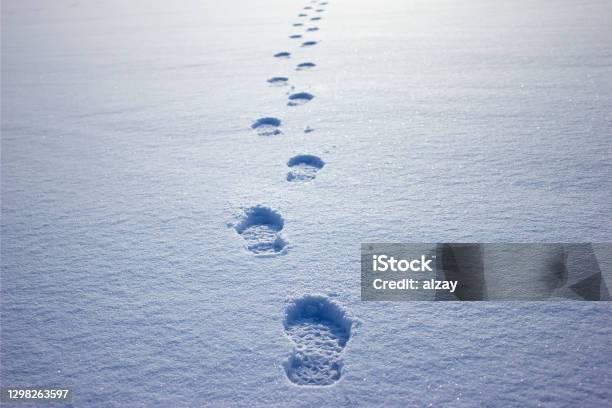 Human Footprints In The Snow Under Sunlight Closeup View Stock Photo - Download Image Now