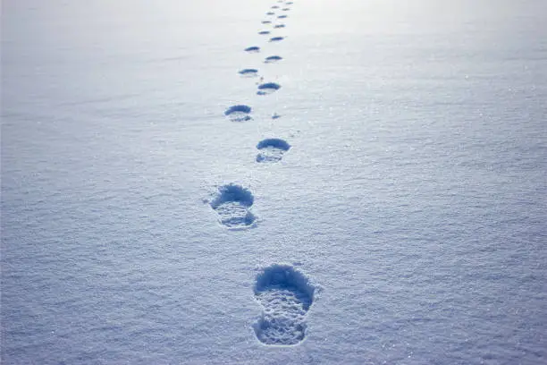 Photo of Human footprints in the snow under sunlight close-up view