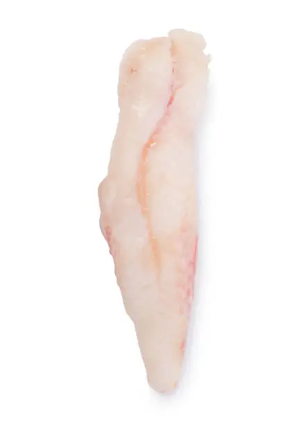 Studio shot of raw monkfish tail cut out against a white background.