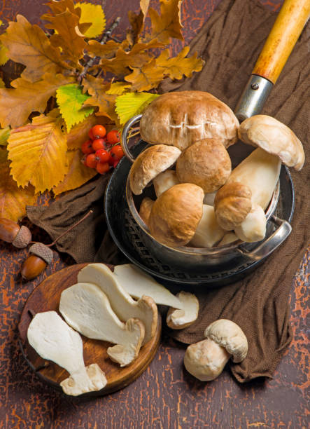 Mushroom Boletus edulis over Wooden Background, close up on wood rustic table. Cooking delicious organic mushroom. Gourmet food Mushroom Boletus edulis over Wooden Background. Cooking delicious organic mushroom. Cepe stock pictures, royalty-free photos & images