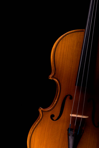 istock Violin music instrument closeup isolated on black 1298266724