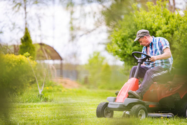 istock Senior man engaged in gardening 1298267930