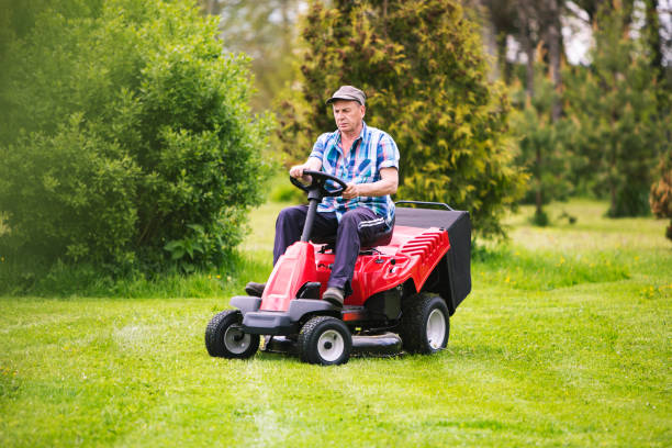 istock Senior man engaged in gardening 1298267949