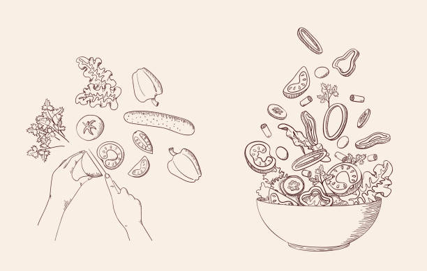 ilustrações de stock, clip art, desenhos animados e ícones de green vegetable salad in line sketch style. concept cooking organic healthy food with fresh farm products. tomato, cucumber, bell pepper. vegan, vegetarian, dietary, vitamin dish. vector illustration - green bell pepper green bell pepper organic