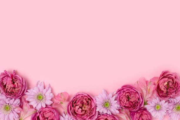 istock Frame made of rose and aster flower texture on a pink pastel background with copyspace. 1298269641