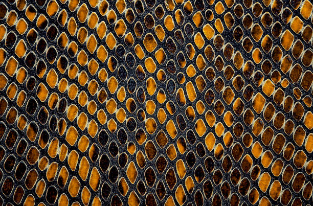 istock Snake skin pattern background. Yellow color. 1298271109