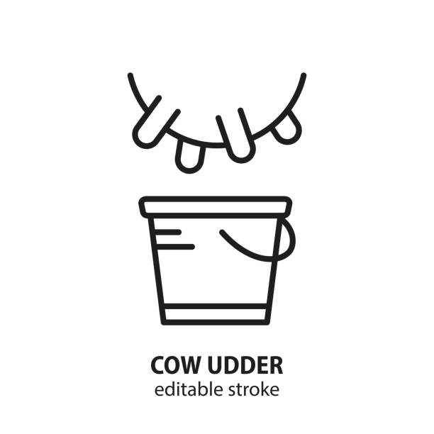 Cow upper with bucket line icon Cow upper with bucket line icon. Symbol of milking. Vector illustration. Editable stroke. milking unit stock illustrations