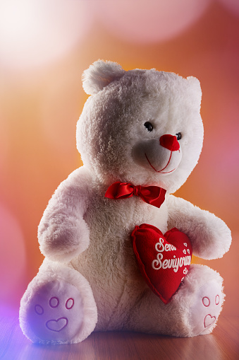 Stuffed toy teddy bear holding heart shaped pillow with ' I love you - Seni Seviyorum ' text in Turkish embroidered on it