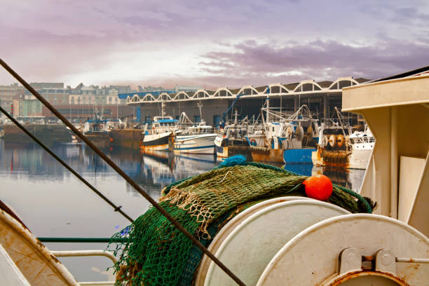 istock Dieppe. Chalutiers docked in the setting sun. Normandy. Seine-Maritime 1298273004