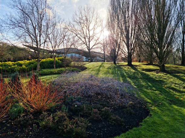 istock View across the Gardens to the building 1298273416